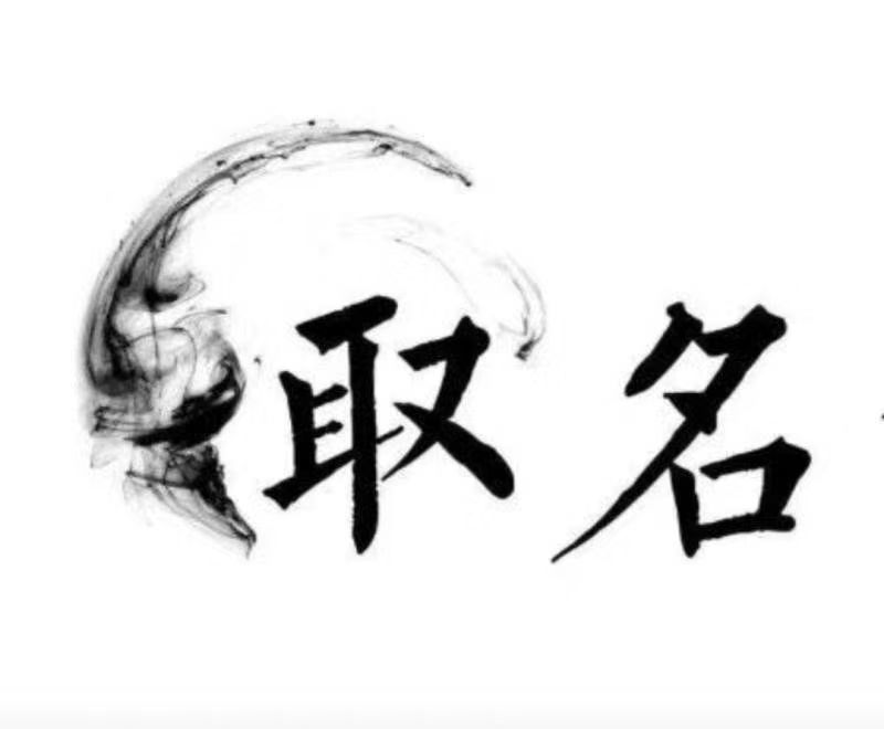  田林宝宝取名 大师一对一人工起名